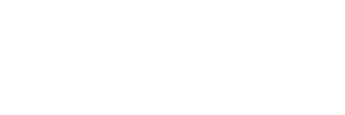 LeekSeek